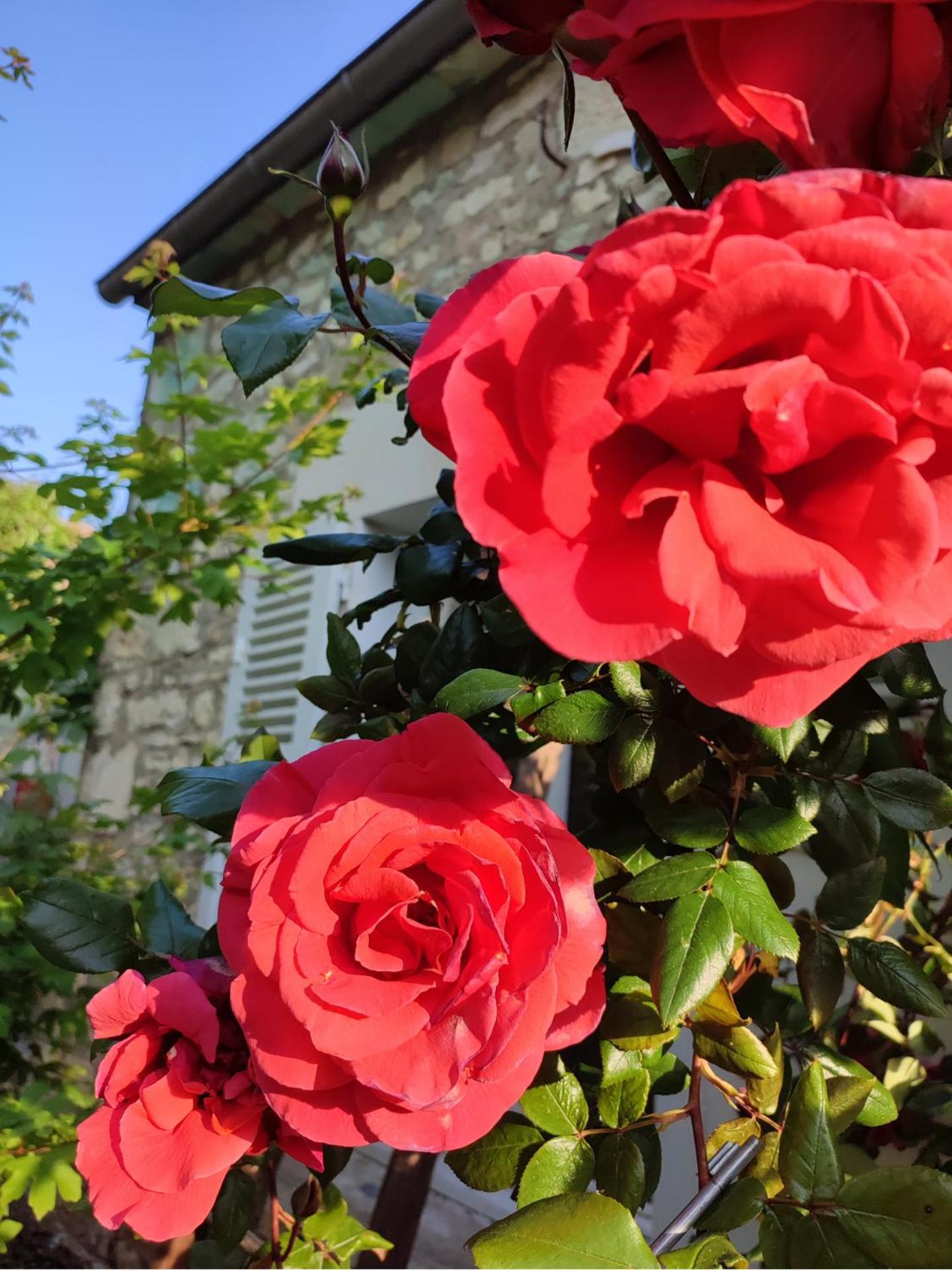 Gite En Plein Coeur Du Vignoble Chablisien Courgis Bagian luar foto